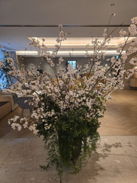 桜装飾のご案内